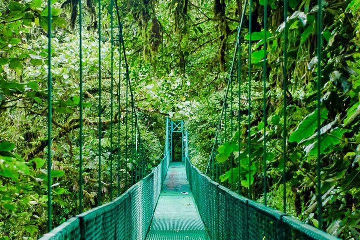 monteverde-costa-rica