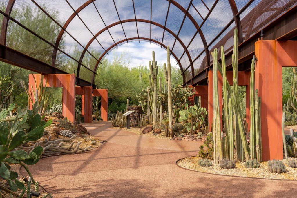 Jardín Botánico del Desierto de Phoenix, Arizona