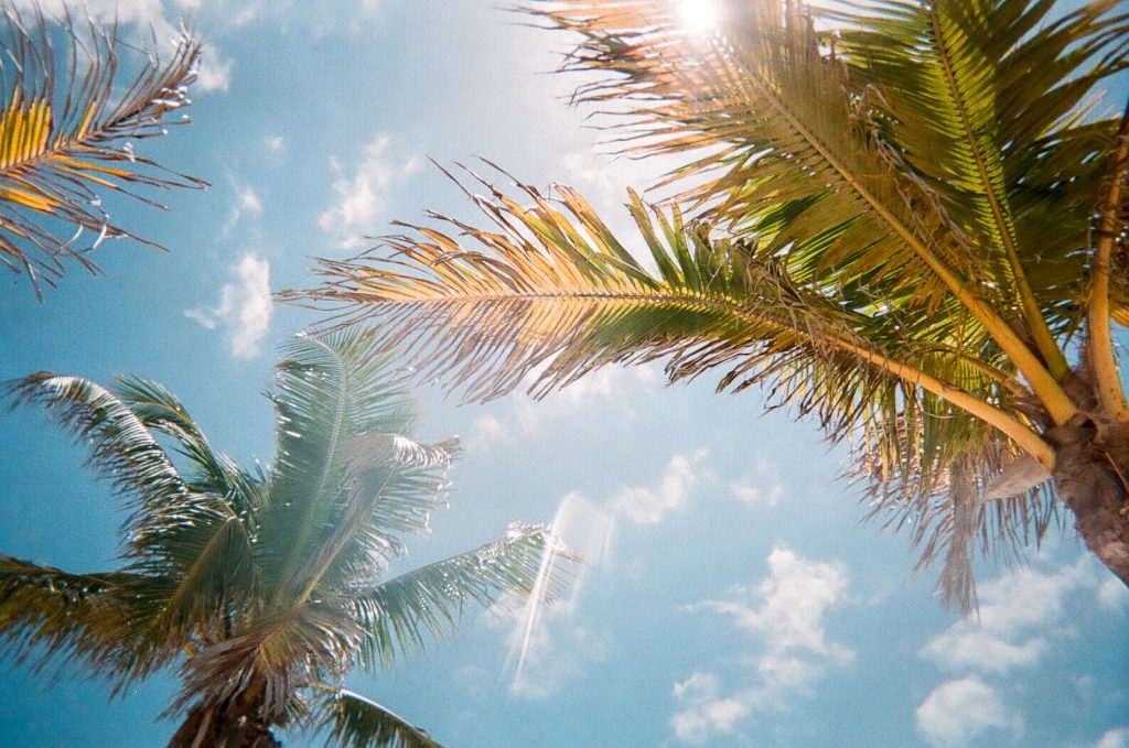 vacaciones en Florida