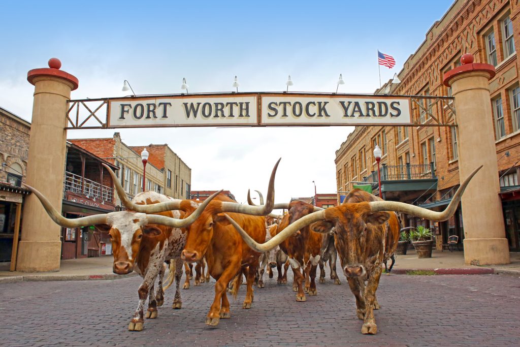 STI Tours en Fort Worth