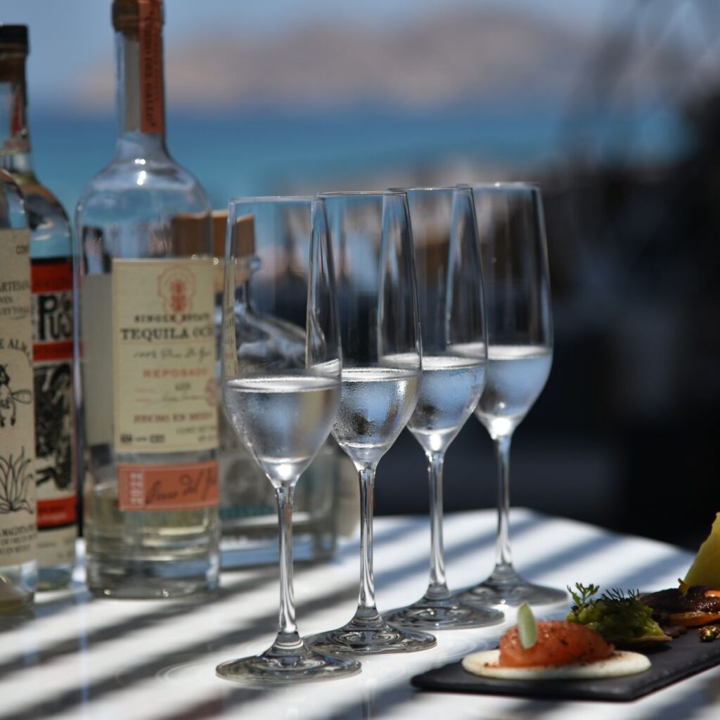 Día Internacional del Tequila.