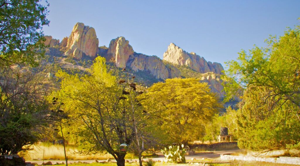 Arizona temporada otoño.