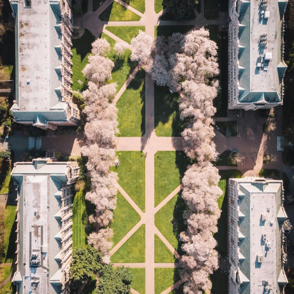 Destinos Instagrameables de primavera: Washington.