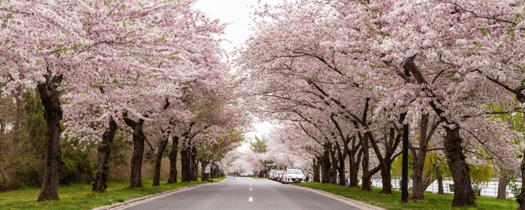 Destinos instagrameables de primavera.