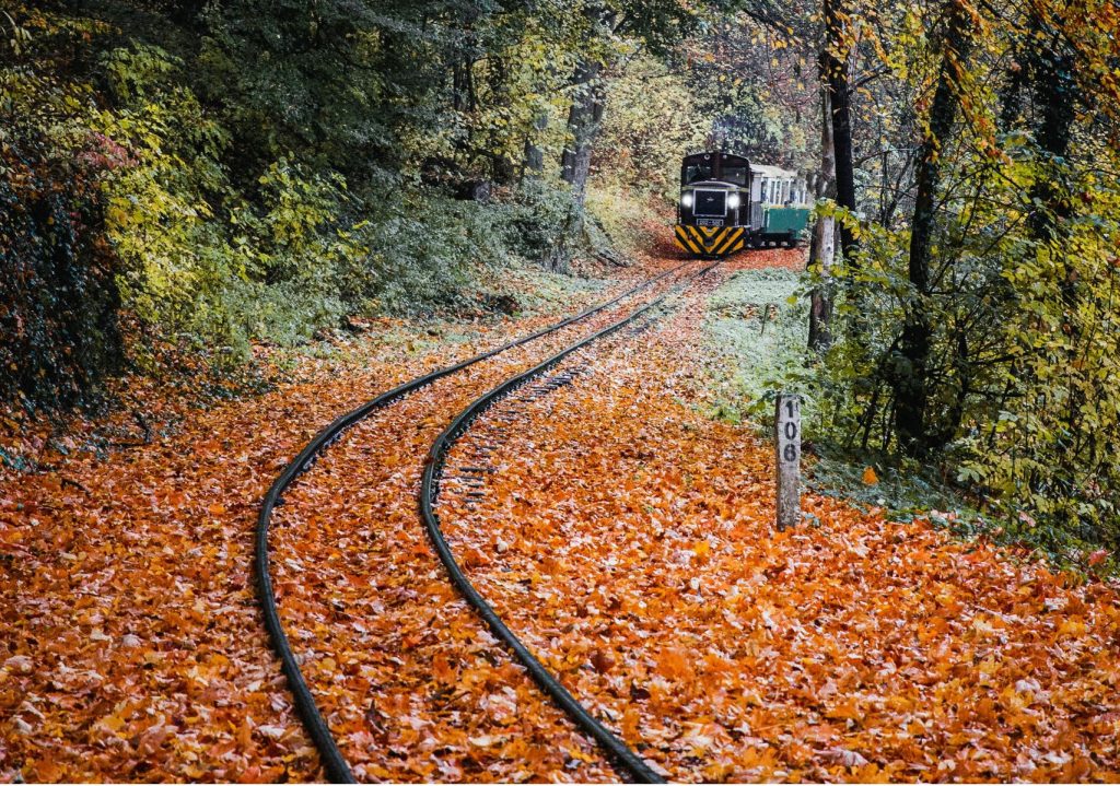 Adventures by Train.